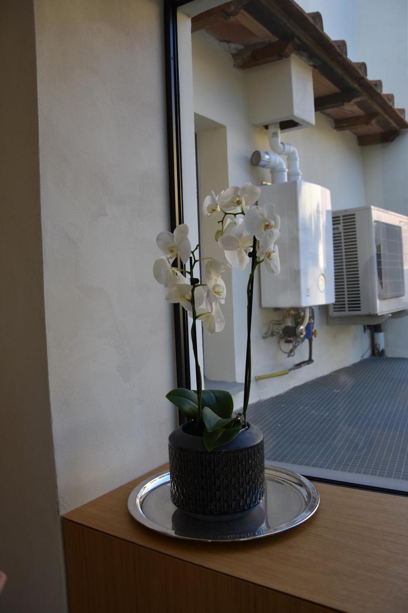 Apartamento Il Giardino Di Dinda Arezzo Exterior foto